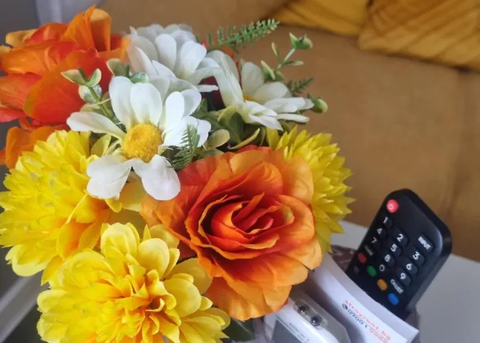 Appartamento Panorama -